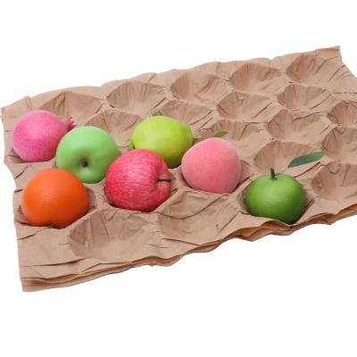PP Mold Kraft Material Fruit Tray Liner Paper Pulp Packaging for Apples and Avocados Manufacturer
