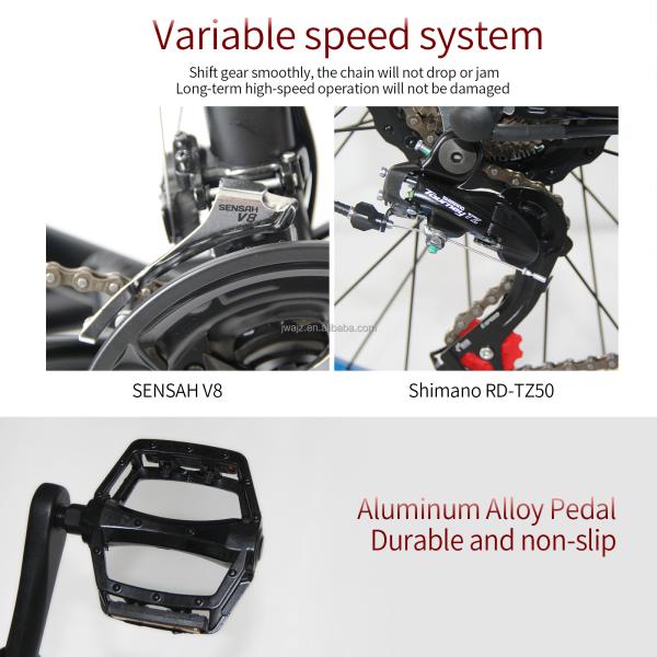 2000W Electric Bike with 21AH Lithium Battery and 26x4.0 inch Fat Tire in EU Warehouse