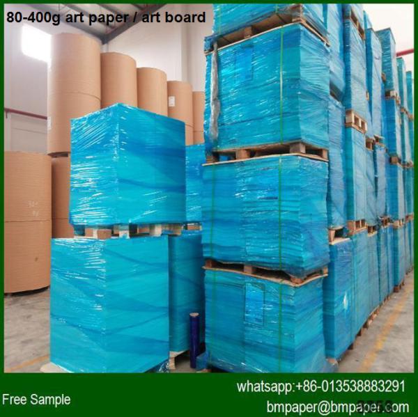 Premium Quality Of Art Paper,250GSM,300GSM,350GSM GLOSS AND MATT