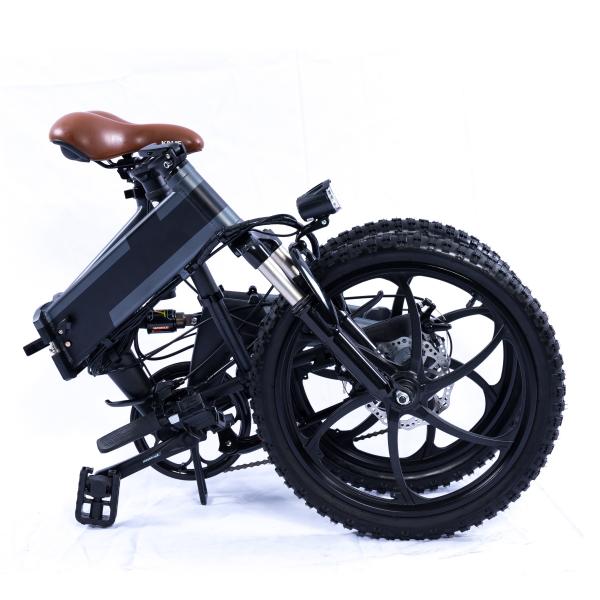 Pedal Assist 20 Inch Aluminum Fat Tire Ebikes 250 Watt