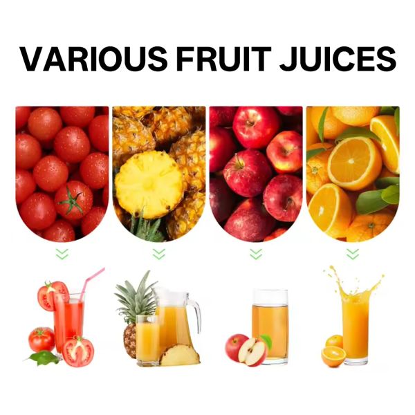 Custom 304 Stainless Steel Coconut Milk Spiral Industrial Fruit Apple Watermelon Pineapple Juicer Commercial Juicer Coconut Pulp Juicer