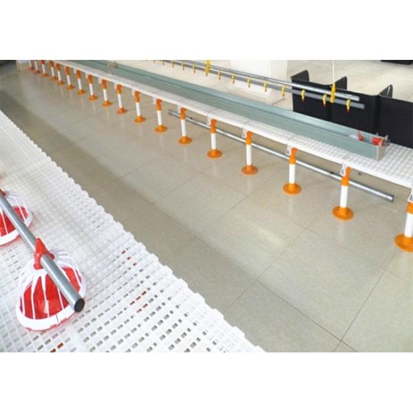 Скрежетать полинянный пол сетки пластиковый Slatted для птицы