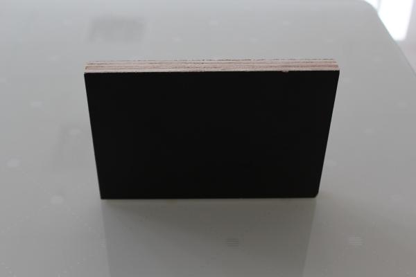 Double Sided Prefinished Plywood Panels / Eco Friendly Film Faced Birch Plywood Sheets