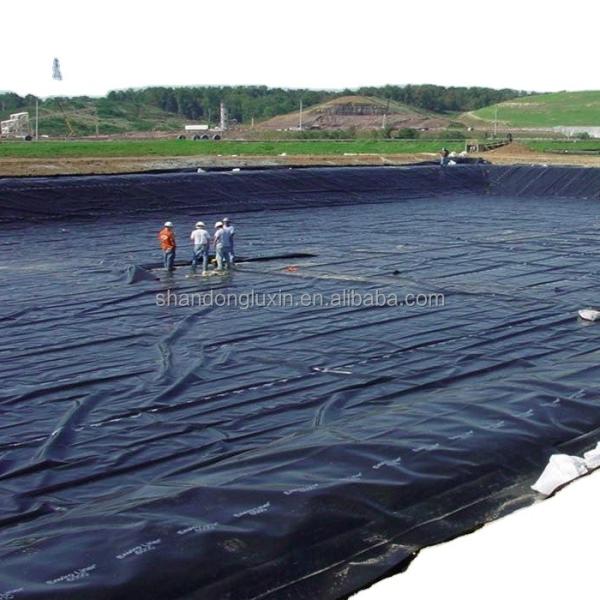 Smooth Geomembrane Material HDPE EVA 1mm 1.5mm for Rooftop Gardens Directly Selling