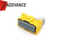 La hembra de 54 maneras selló el conector amarillo de D Elphi para el auto disponible como arnés