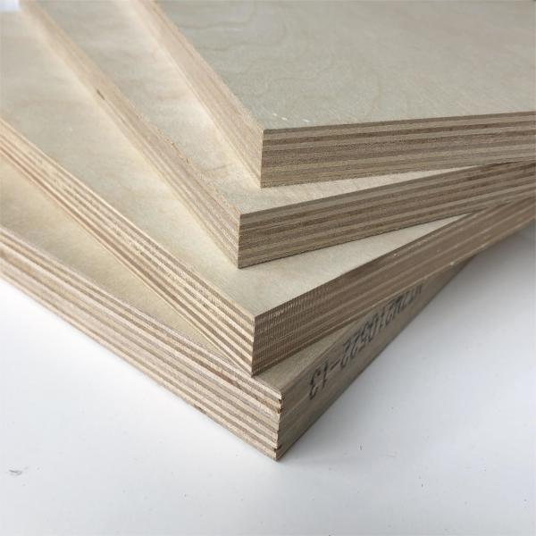 Top de Venda de Albedo do Báltico russo E0 6mm 9mm 12mm 15mm 18mm 24mm Full Birch 1220*2440mm Folha de Albedo