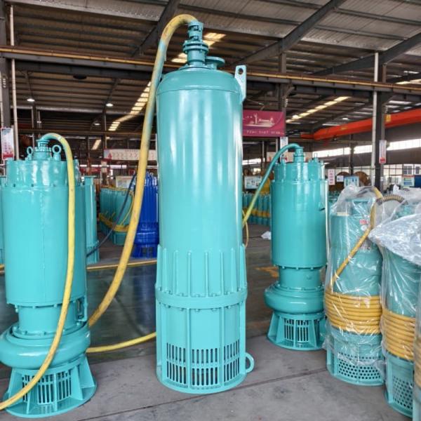 180m³/H 350m Head Explosion Proof Submersible Pumps Mine Drainage Explosion Prevention Water Pump