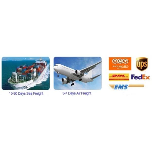 Уникальный дизайн летучей мыши и паука