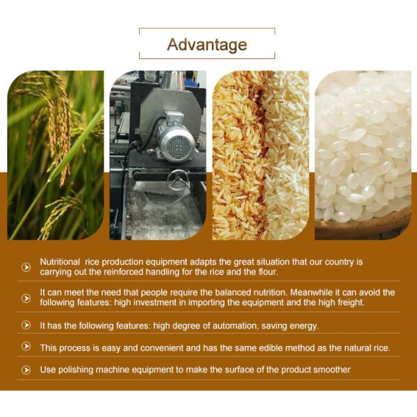 Machine de traitement du riz à double vis à haute automatisation 100 kg/h-900 kg/h Condition