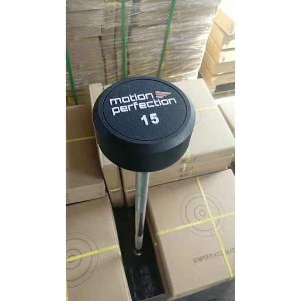 Body Building Fixed Rubber Coated Head Curl Weightlifting Straight Barbell Customized