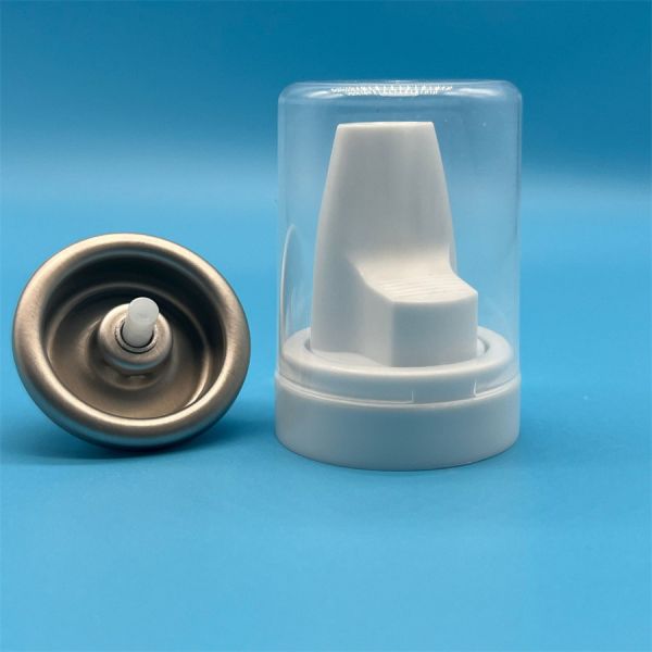 Color-Enhancing & Protective Aerosol Hair Mousse Dispenser for Treated Hair with UV Filters and Antioxidants