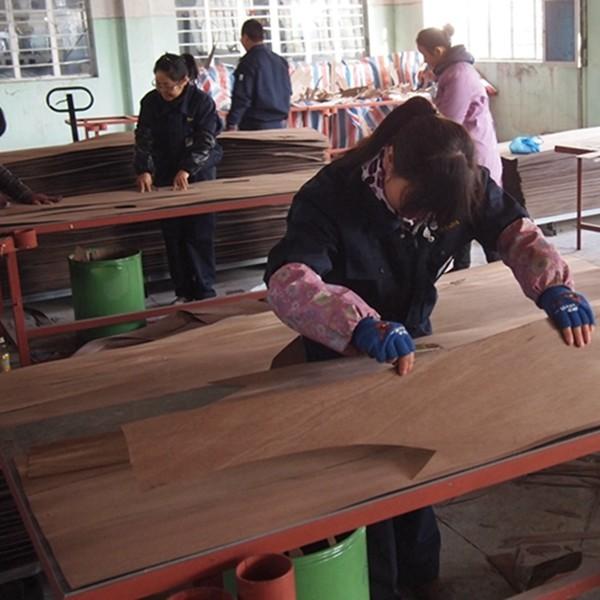 High-End Custom Ev Veneer  Rainbow RB-X2988 Chromatic Staight Grain For 0.18-0.6mm Thickness For For Hotel