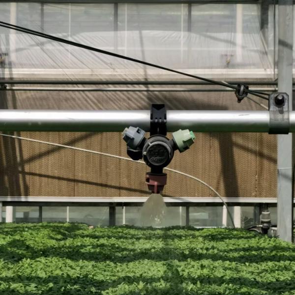 Invernadero de techo de vidrio tipo A para gran producción comercial