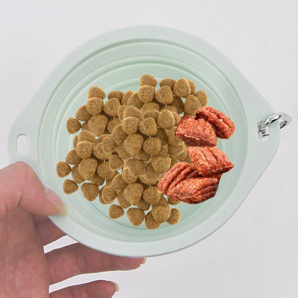 Eco-Friendly Silicone Pet Bowl | Safe and Sustainable Feeding Solution


