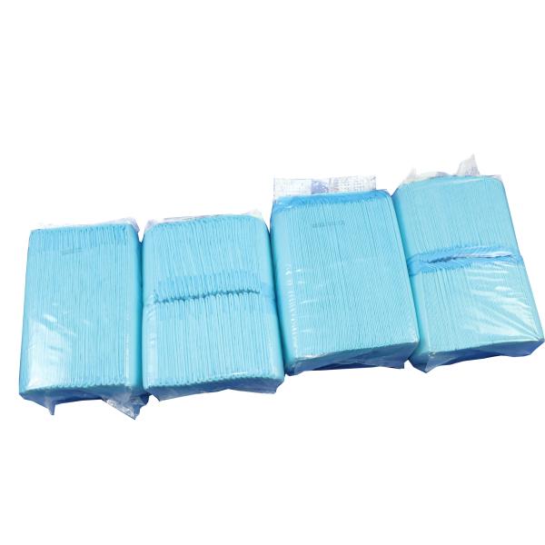 Внутренняя пакуя ясная тренировка щенка сумки прокладывает пусковые площадки мочи собаки