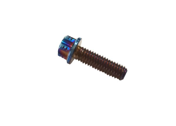 M6 M8 M10 タイタン合金 トルックスボルト バイク用アンロジ色 バイク用
