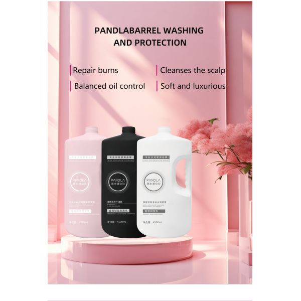 Wholesale PanDla OEM Natural Hair Shampoo and Conditioner for Deep Hair Cleansing Moisturizing for Professional Salon