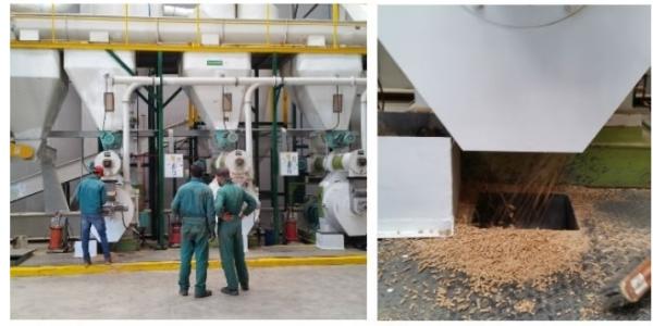 Malaysia Wood Pellet Mill Ring Die ， Sawdust Pellet Press Accessory Roller Ring Die