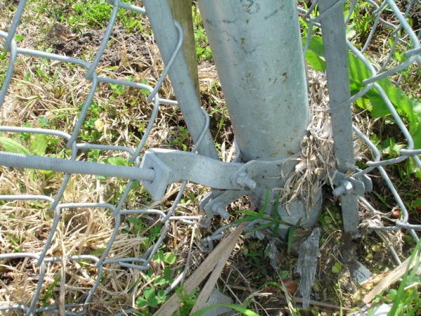 chain link fence for the park and tree ,Hot Sale Chain Link Fence for Playground Park / Forest Protecting