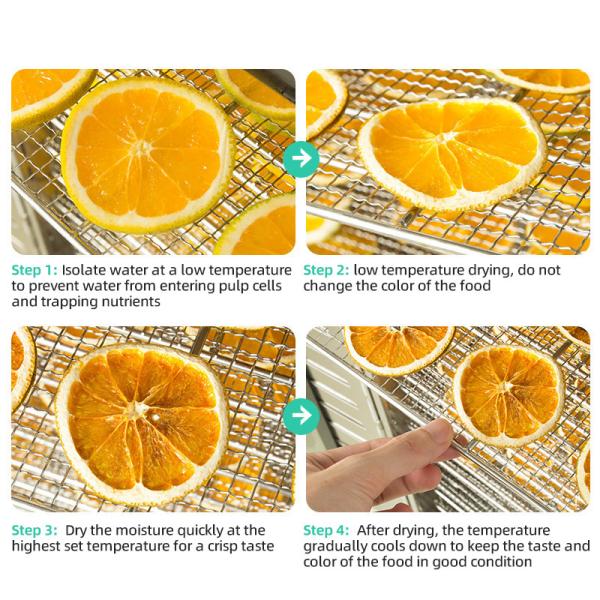 Acero inoxidable para uso doméstico alimentos secos industriales de fruta máquina deshidratadora 96 bandeja