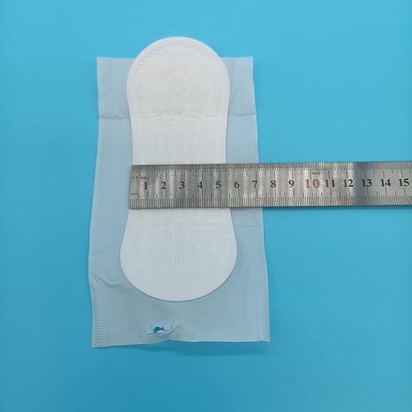 Negative Ion Technology Day Sanitary Napkins for Women Customizable and Eco-Friendly