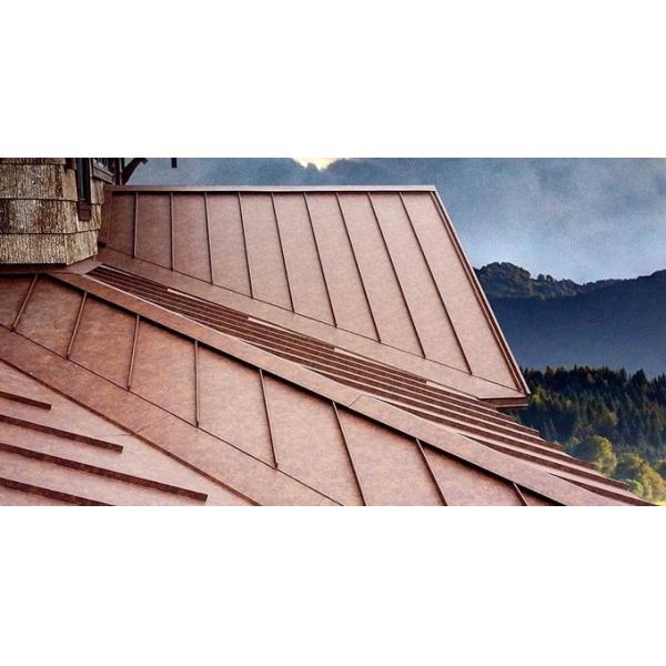 Рыжая матка PPGI Стальная катушка Z120 Текстурированная предварительно окрашенная красочная крыша панель плитки бекеры RMP 15 лет гарантии