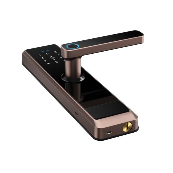 Silence Fingerprint Door Lock Keyless Bluetooth Wifi Biometric Digital For Business
