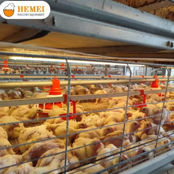 Floor-To-Cage Conversion Broiler Chicken Cage