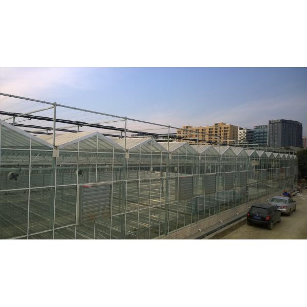 Сверхмощный стеклянный Hydroponic парник питомника для овощей