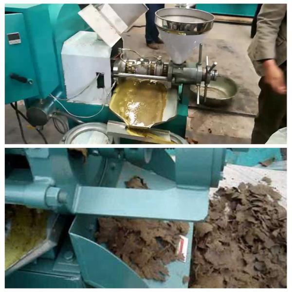 High Capacity Neem Oil Extraction Machine Perfect for Pressing 950KG of Oil Seeds in Pakistan