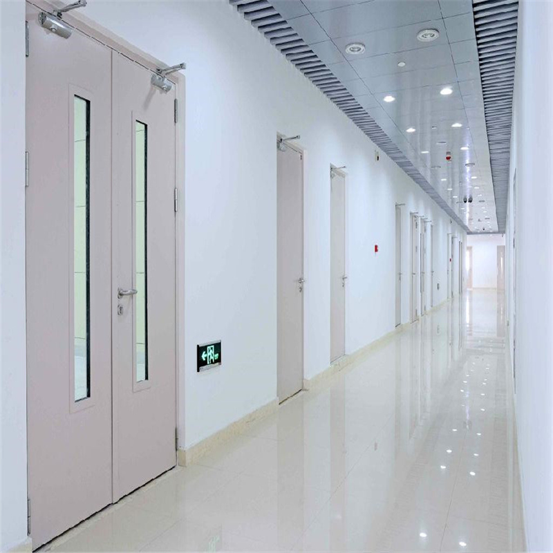 OEM Stainless Steel Fire Door for Medical Cleanroom and Hospital Applications