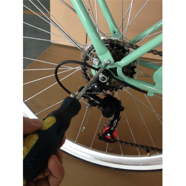 15KG Women's Step Through Bicycle LADIES CLASSIC 7-SPEED BIKE with Two Baskets Design