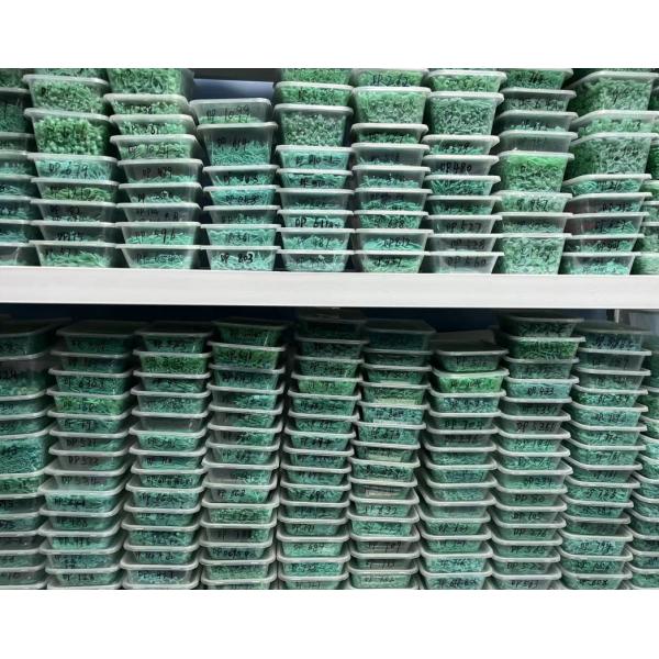 QICAI Jewelry Co.,LTD