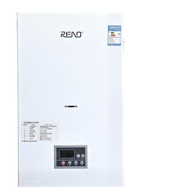3C Gas Wall Hung Boiler Constant Temperature 24kw Lpg Combi Boiler Use Imported Wilo Pumps