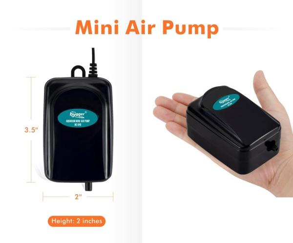 20 Gallon Tank Fish Oxygen Pump