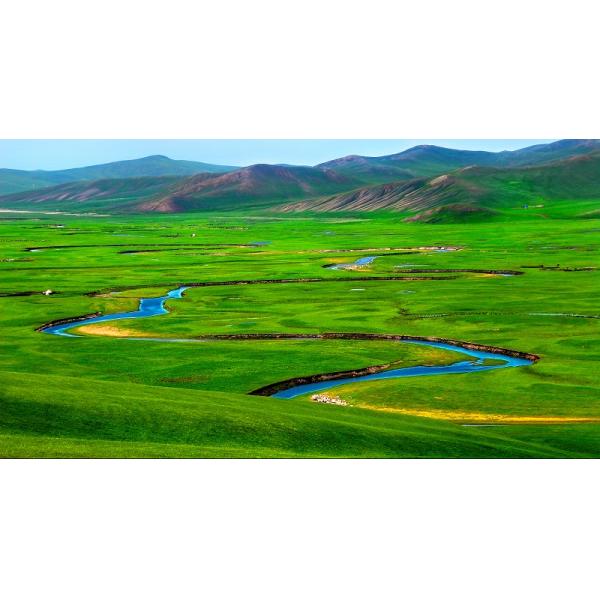 17-0-0 poudre brun clair des acides aminés 50 solubles dans l'eau de Biostimulants
