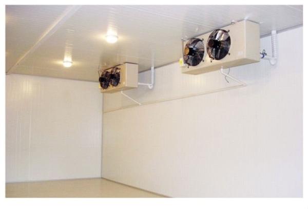 Alimento congelado de aço inoxidável da sala de armazenamento frio de -20℃ com porta de balanço