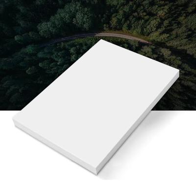 Satin Coated 3R Photo Paper Cast Resin Surface Inkjet Printing Compatibility