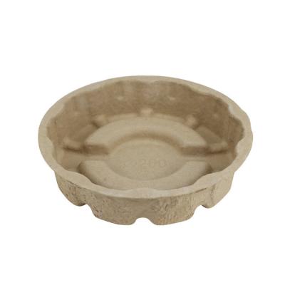 Takeaway Paper Molded Pulp Packaging Tray Custom Biodegradable Food Grade