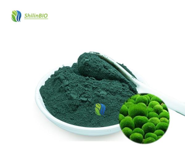 Chlorella Algae Powder 50%~60% Protein