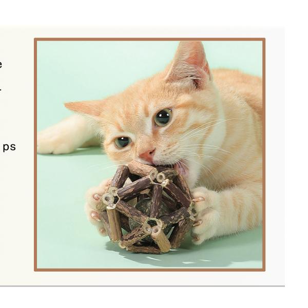 Silvervine Cat Toy for Self Play and Teeth Cleaning Made from Natural Polygonum Arboreum