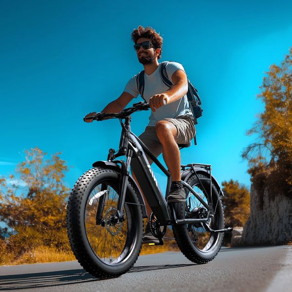 TST Defender 26 Inch Road Bike Fatbike Mountain Electric Bike Electric Cycles for Men 1200W Rear Hub Motor Electric Hybrid Bike