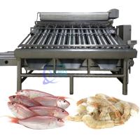 Equipamento durável de classificação de peixe 380V, máquina de classificação de peixe anti-erosão