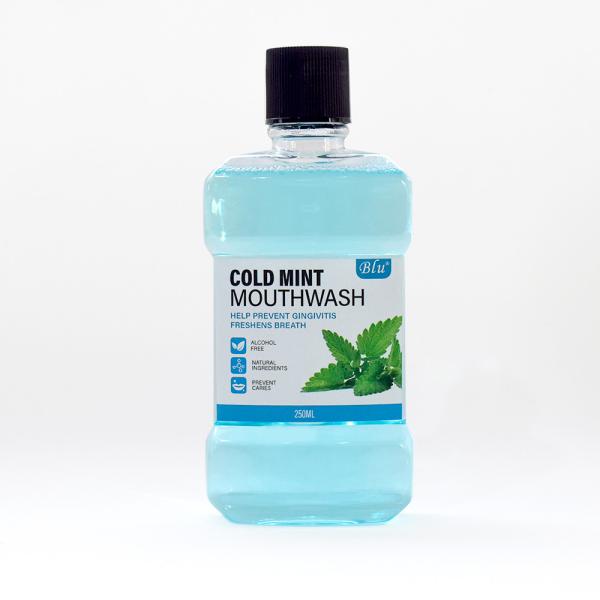 Antibacteriano orgânico não alcoólico Cuidados com a saúde oral Sabor de frutas 250 ml Cuidados com a saúde das gengivas