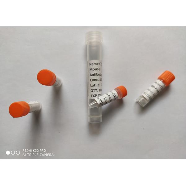 Рекомбинатный протеин шипа RBD моноклонального антитела мыши 2019-NCoV