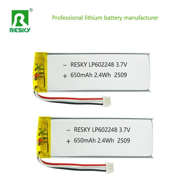PCM Protected 602248 3.7V 650mAh Lithium Polymer Battery With 10K NTC For Smart Wearables