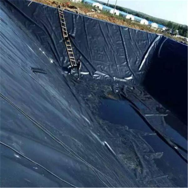 0.75mm HDPE Geomembrana preta Liner de lago Padrão GB/ASTM GRI-GM13 Geomembranas