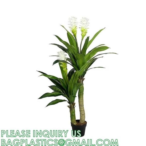 Dracaena Silk Plant Artificial 5ft Faux House Plants Evergreen Dracaena Marginata Fake Yucca Palm Trees in Pot