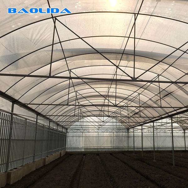 90m Length High Wall Plastic Film Autpmatic System Multi Span Greenhouse