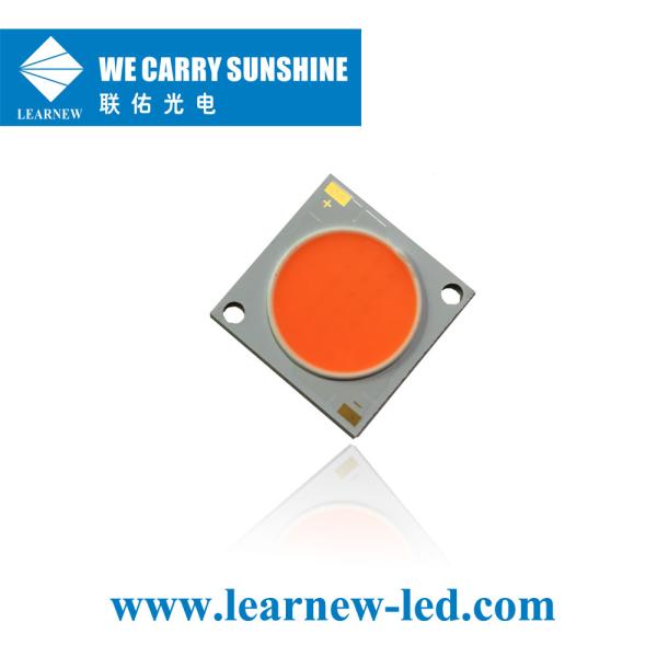 Полный спектр светодиодного светодиода 380-780nm DC35-38V 2828 50w для комнатных растений